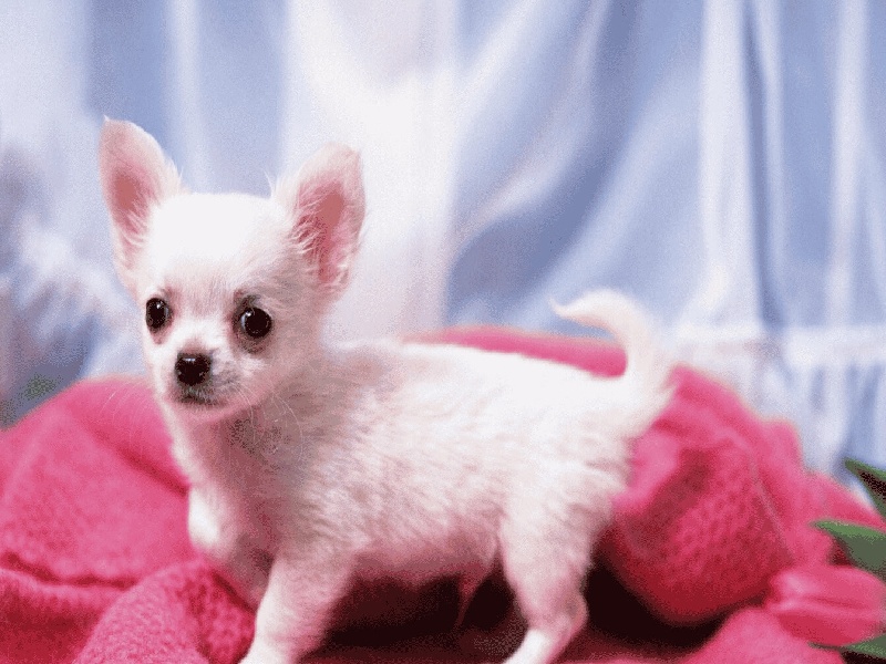 试管促排卵饮食禁忌（昆明哪里有试管）